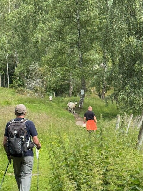 Wilderness Travel-伯克利必去景点