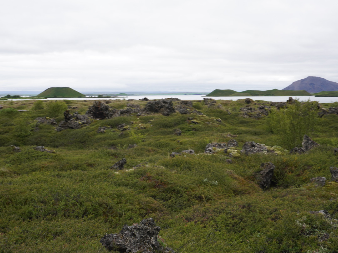 Dimmuborgir Lava Formations-米湖必去景点