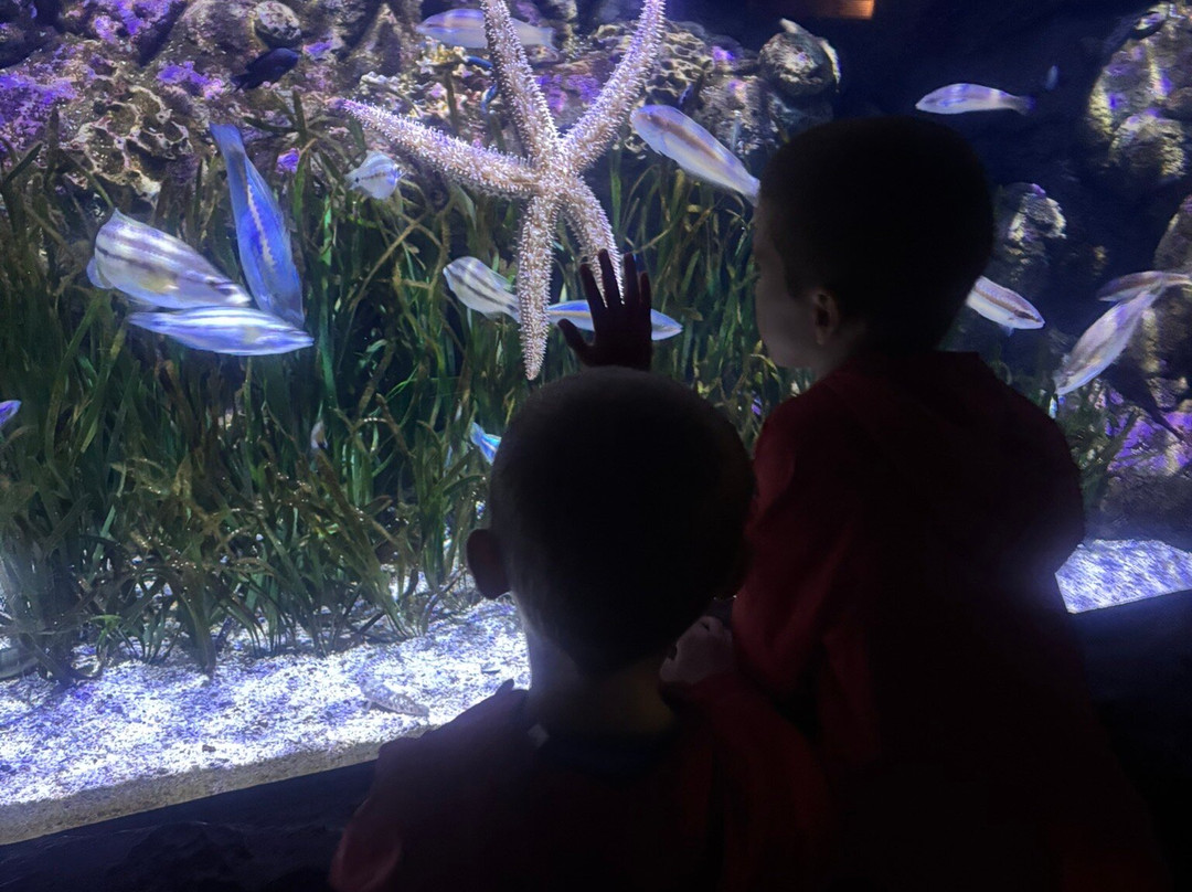 Aquarium Cabrera - Centro de Visitantes Ses Salines o Centro Interpretacion Cabrera-Colonia de Sant Jordi必去景点