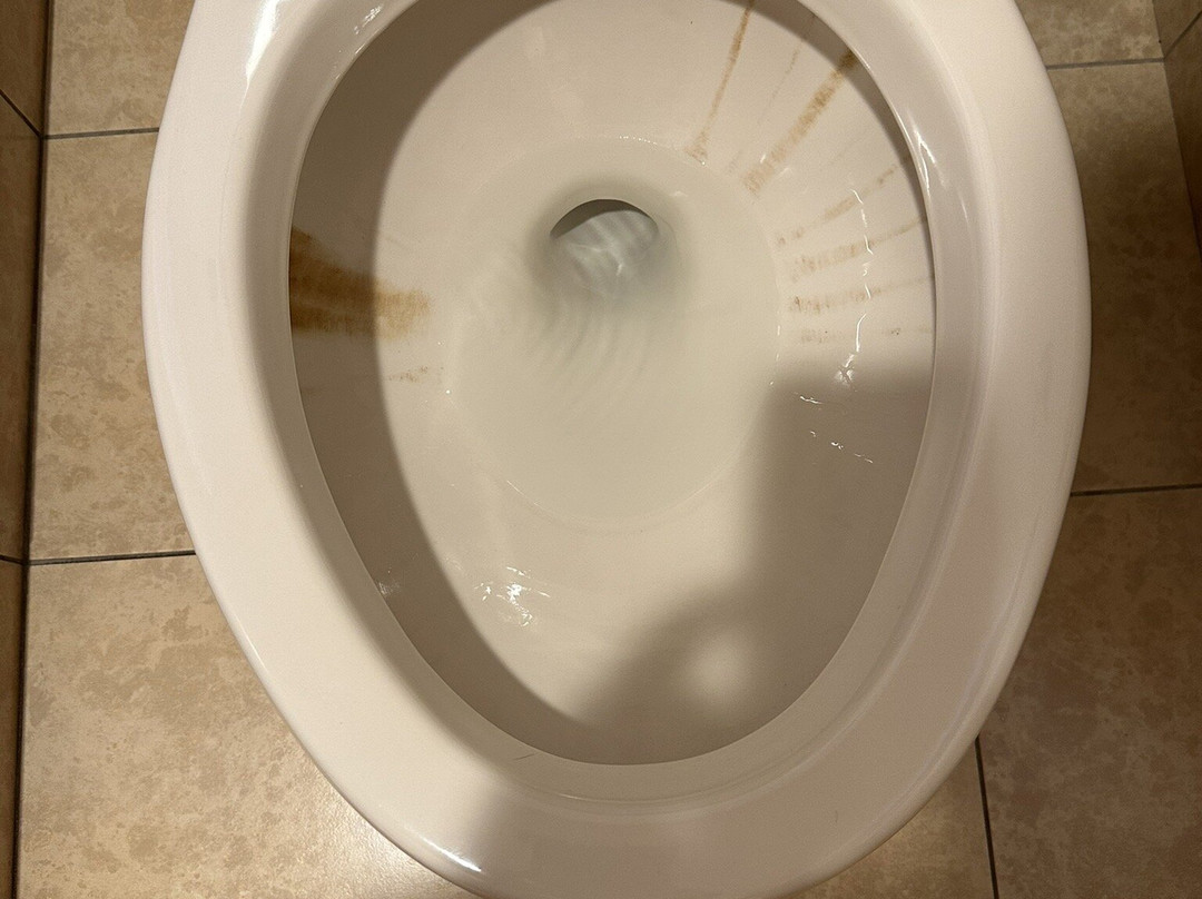 Cousin's Country Inn主图