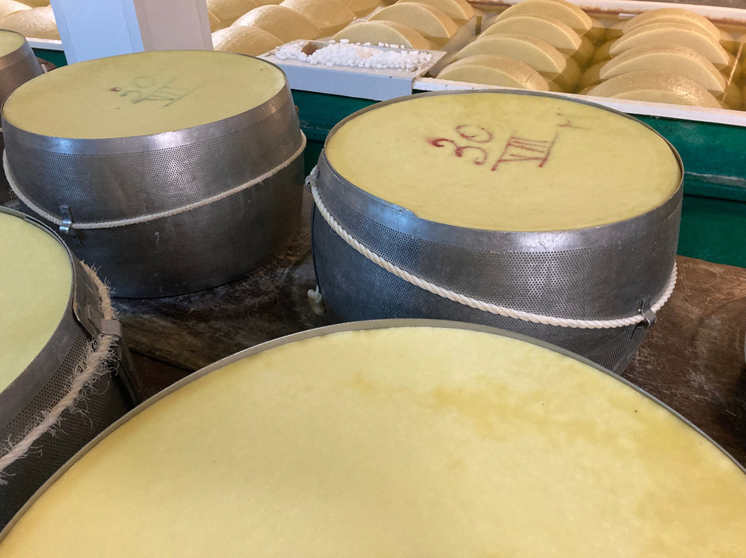 Caseificio San Pier Damiani-帕尔马必去景点