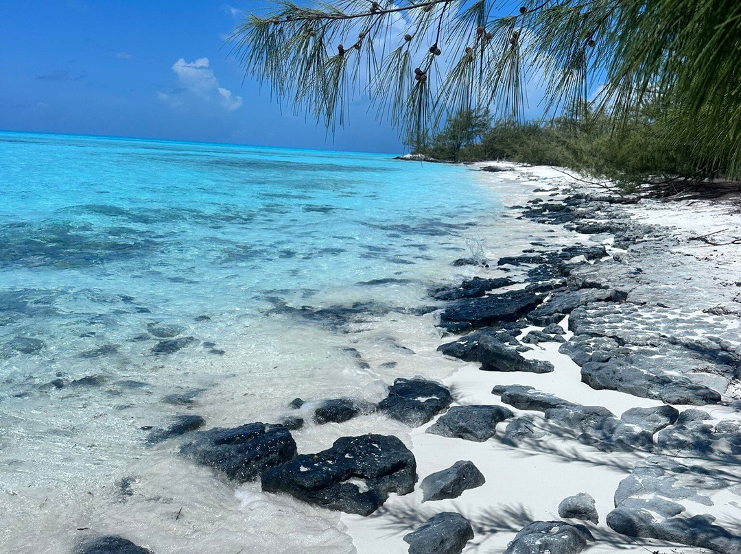 Bahamas Discovery Quest-长岛必去景点