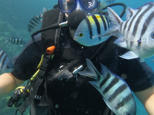 Atlantis Tauchen Hurghada-赫尔格达必去景点