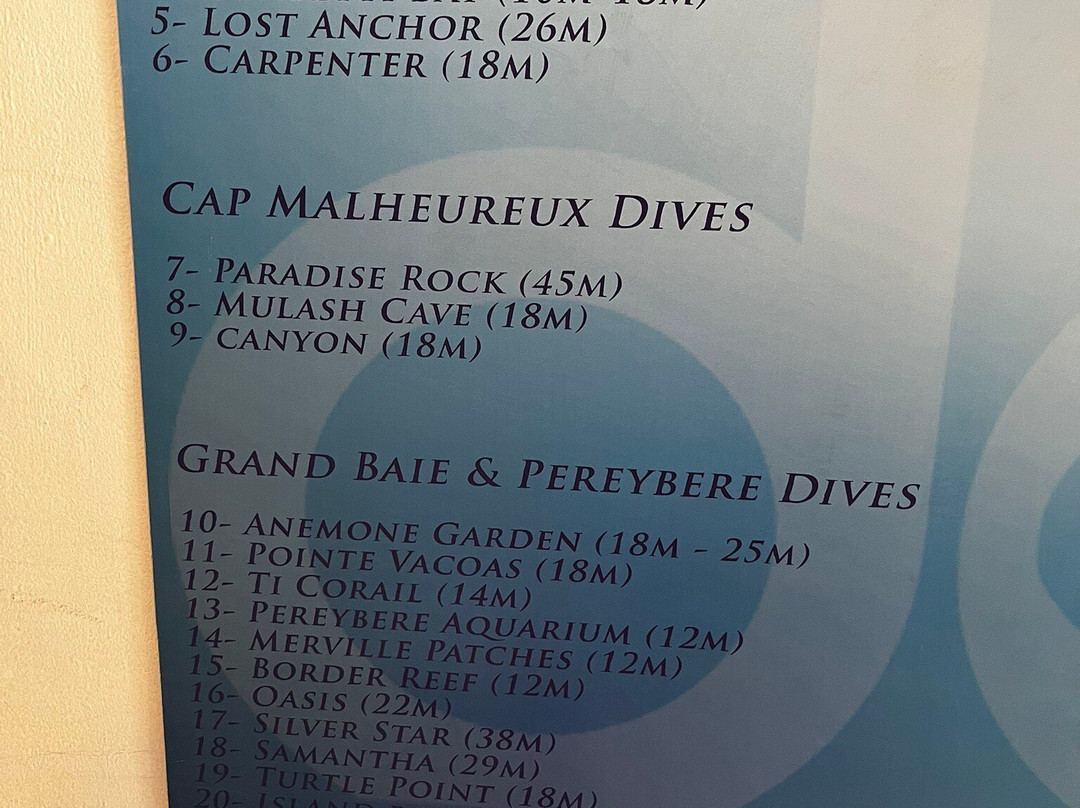 Dodo Divers Mauritius-卡罗迪勒必去景点
