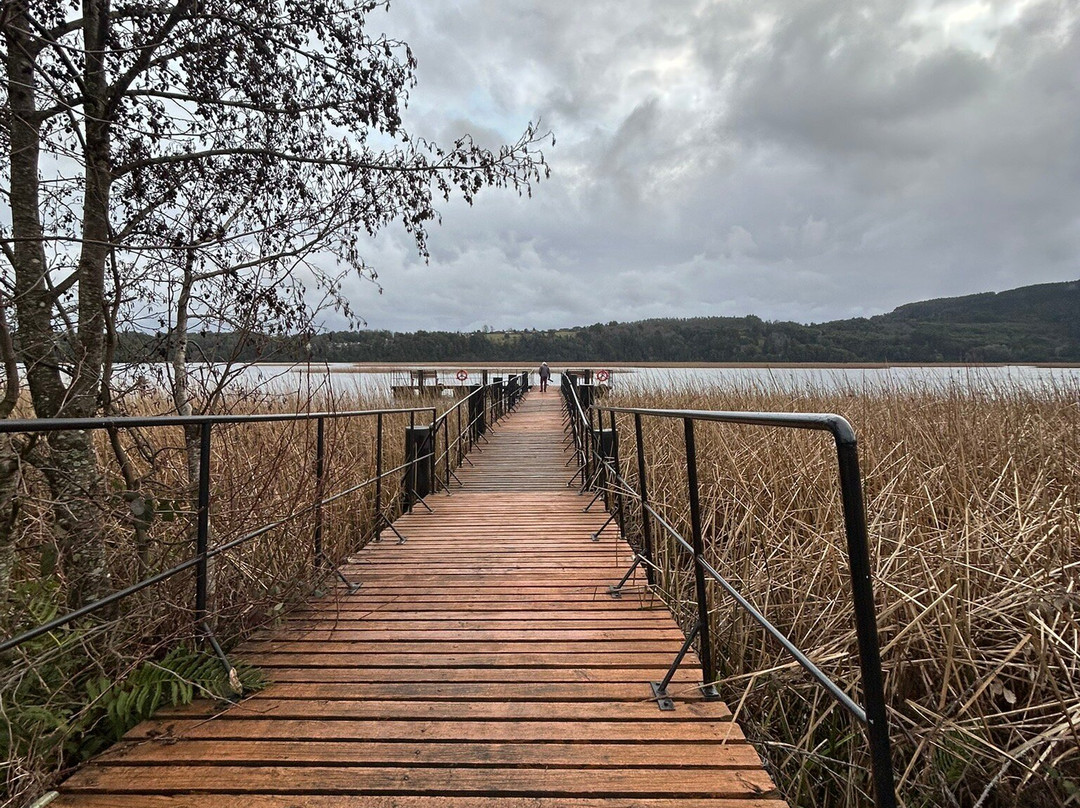 Hotel Puerta Del Sur主图