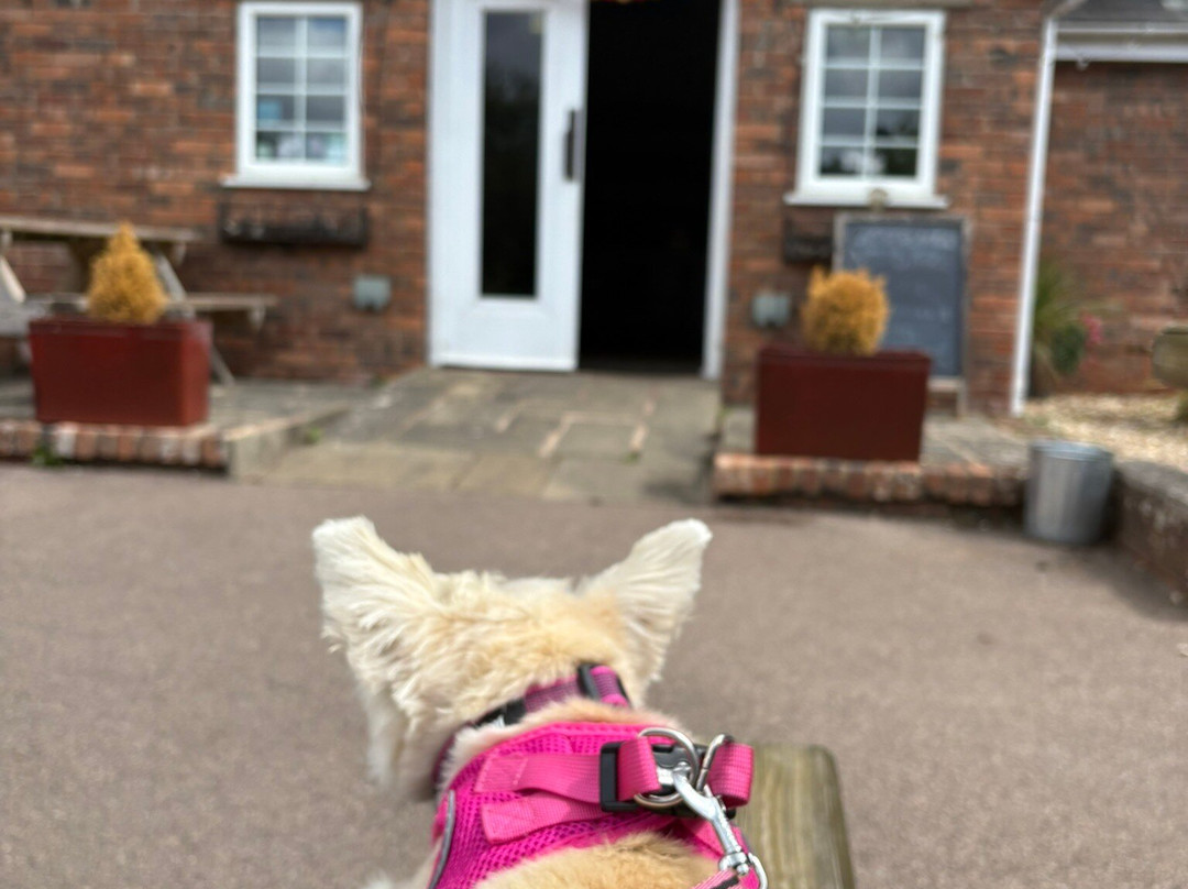 岔路上的旅馆主图