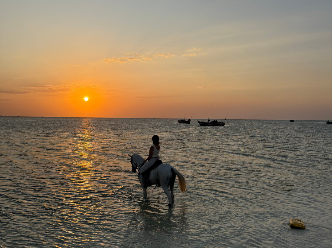 Zanzibar Horse Club-孥归必去景点