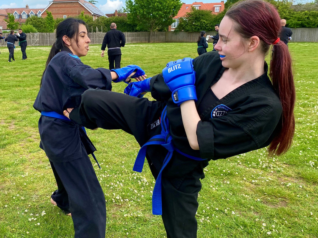 Shuhari Self Defence