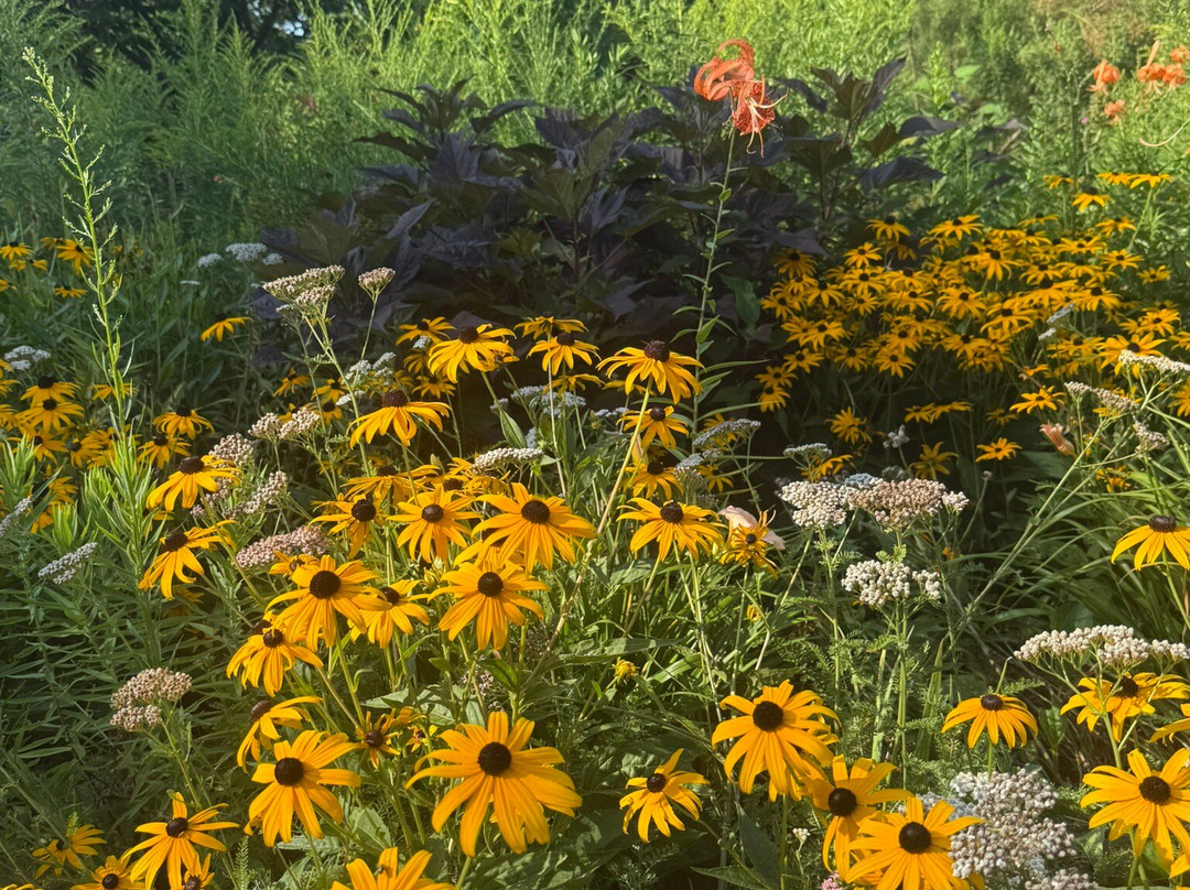The Monet Garden of Muskegon-马斯基根必去景点