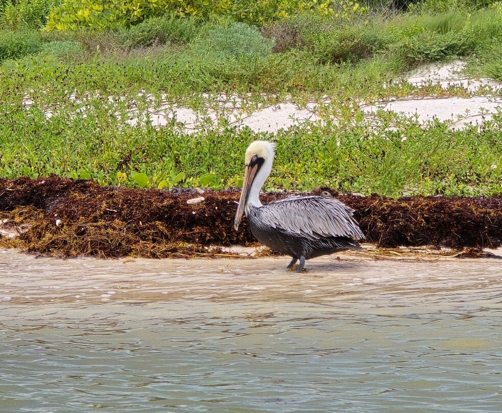Visit Sian Ka'an-图伦必去景点