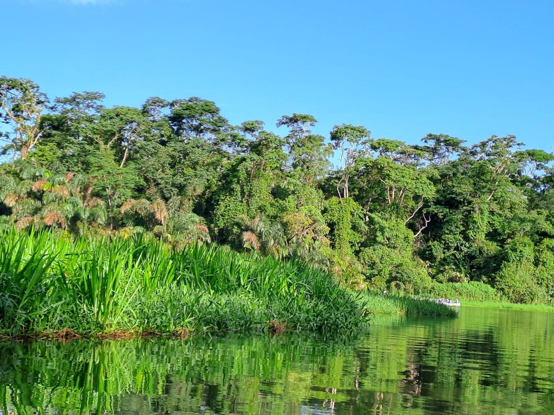 Tortuguero Canal-利蒙港必去景点