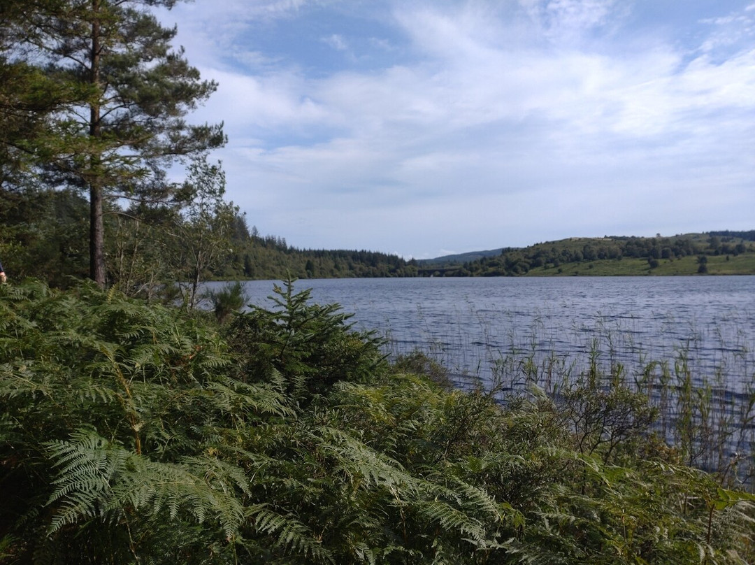 The Raiders Road Forest Drive-邓弗里斯-加洛韦必去景点
