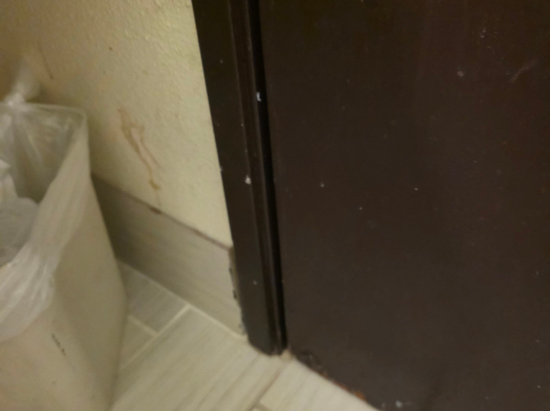 Quality Inn & Suites Near I-80 And I-294主图