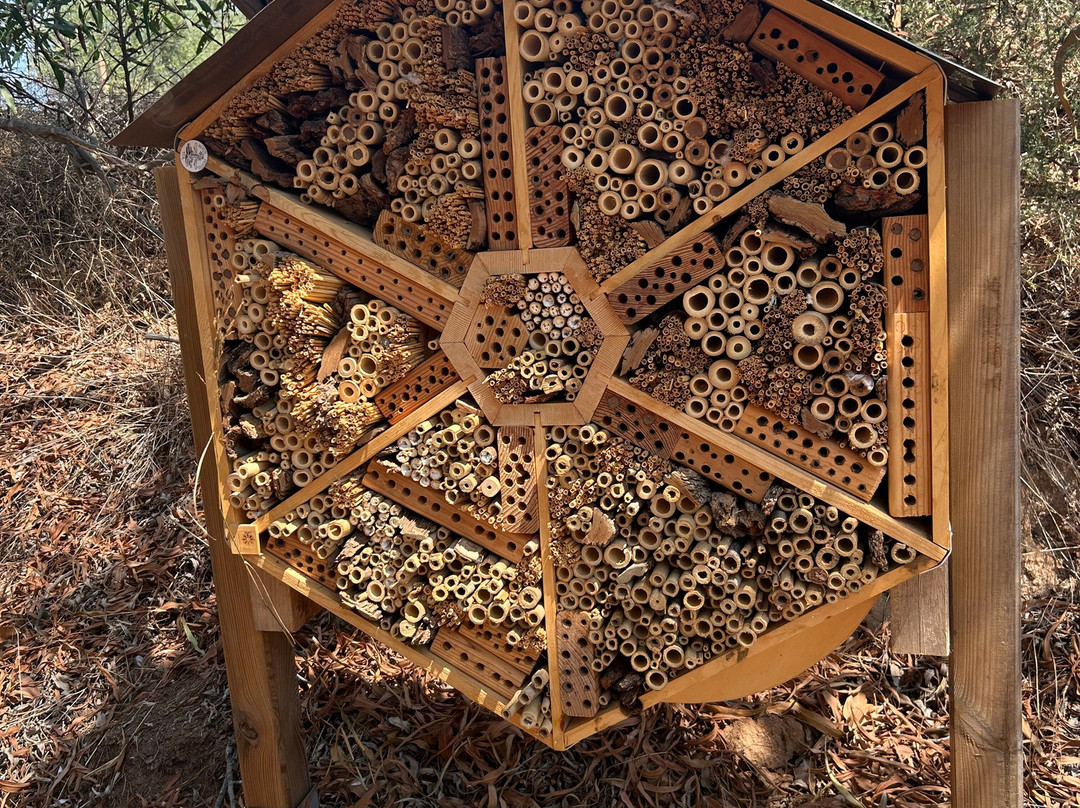 Bee Garden Alghero-阿尔盖罗必去景点