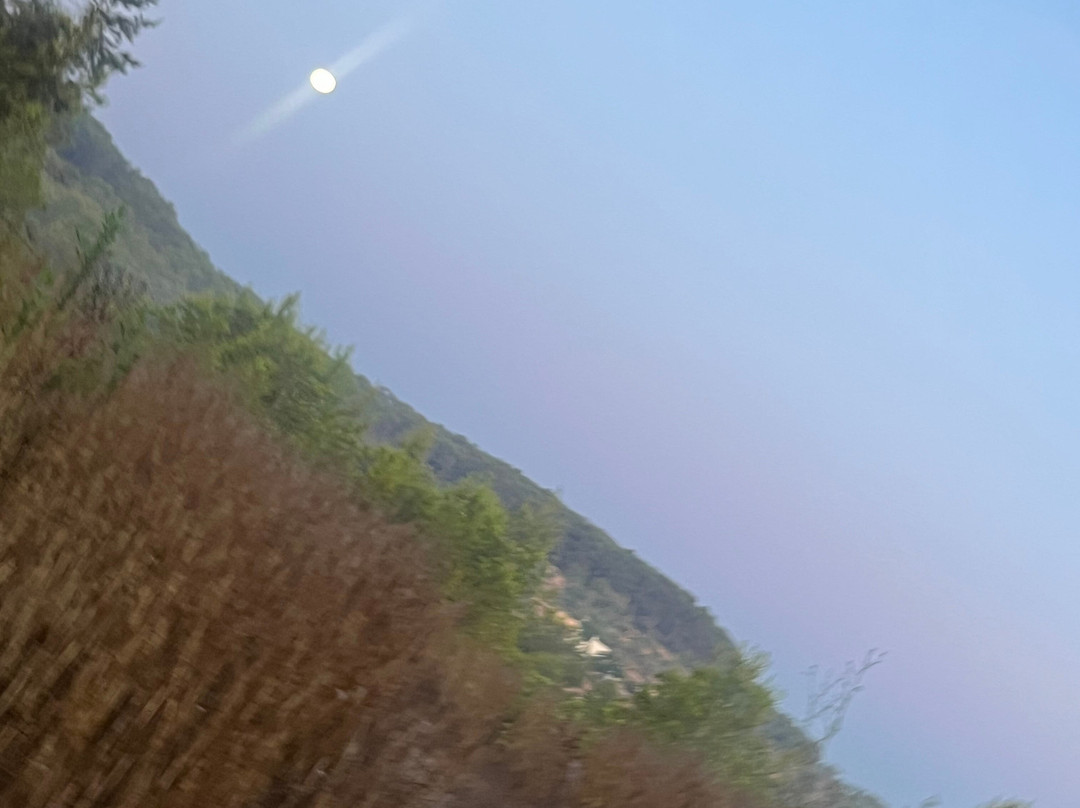 Yoga Pilates Ibiza-伊维萨必去景点