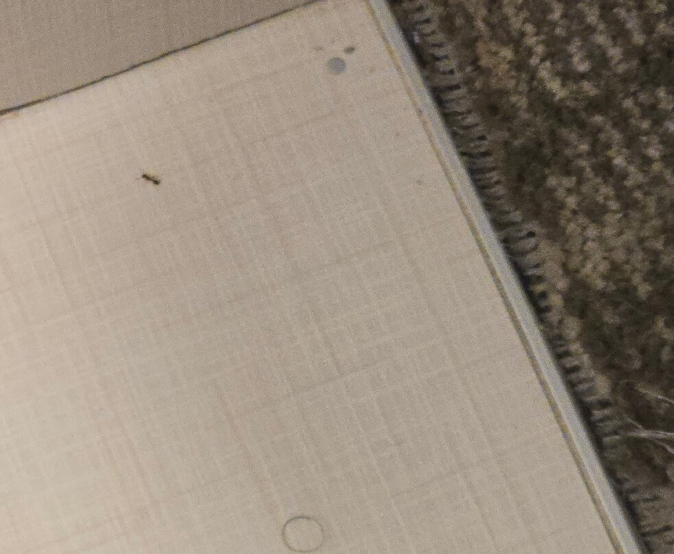 SpringHill Suites by Marriott Dallas McKinney主图