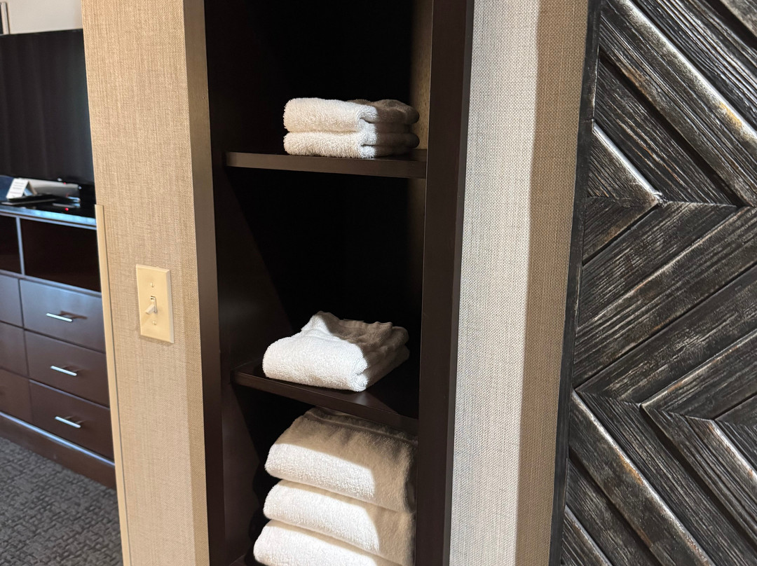 Drury Plaza Hotel St. Paul Downtown主图