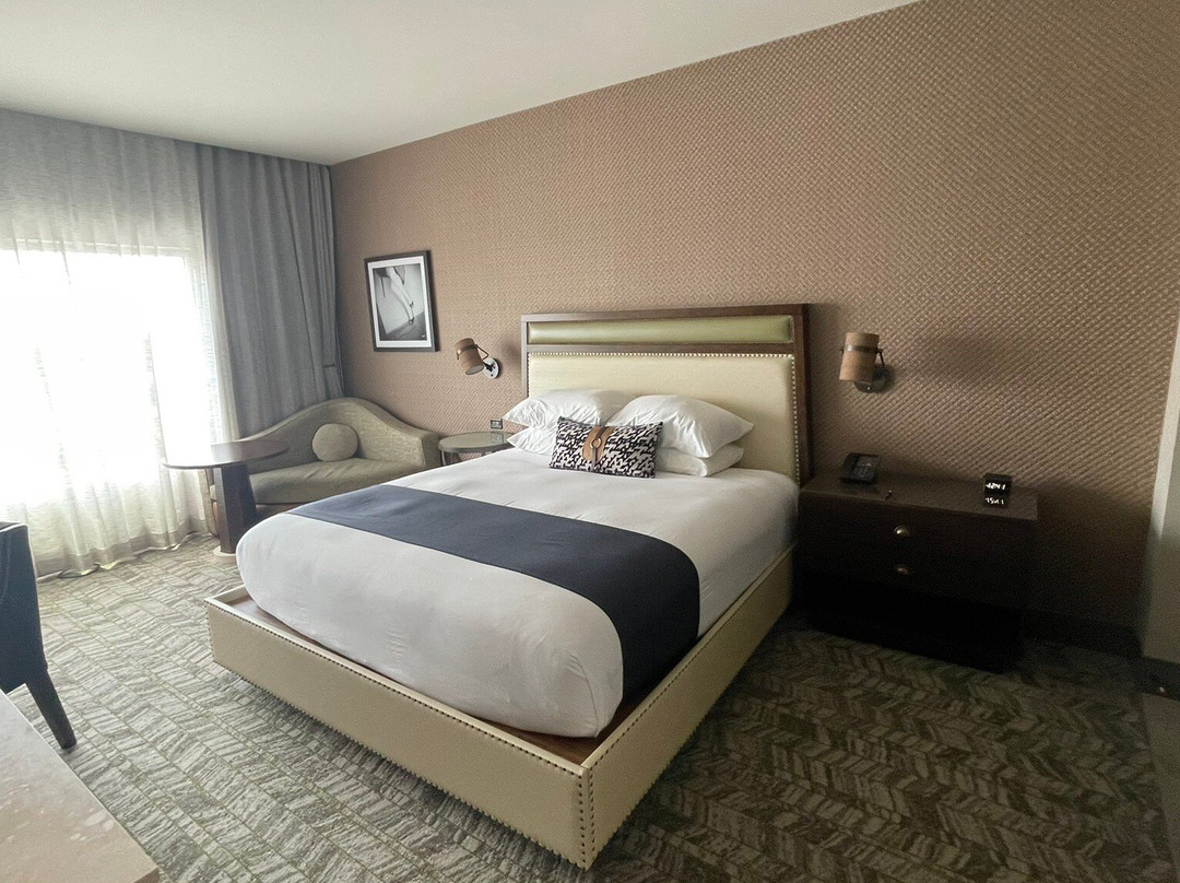 The Stella Hotel, Autograph Collection主图