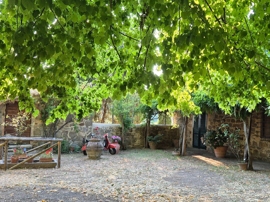 Agriturismo Borgo Villa a Tolli主图