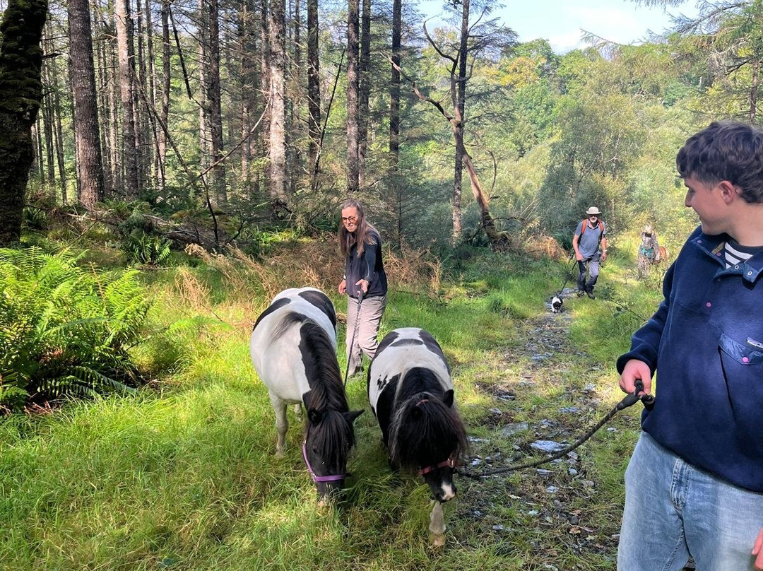 Horse Play Adventures Scotland-Acharacle必去景点