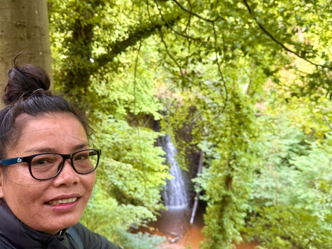 Falling Foss Tea Garden And Waterfall-惠特比必去景点