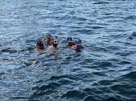 Perfect Timing Tours-庞帕诺比奇必去景点