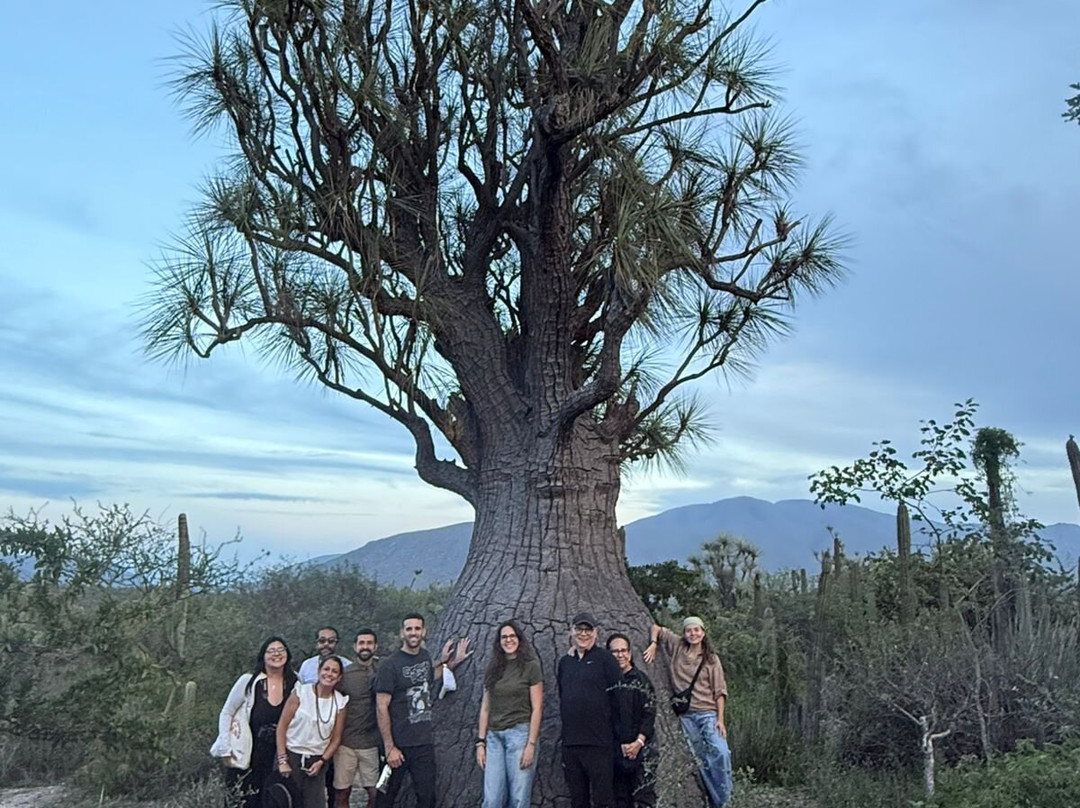 Bio Fan-Tehuacan必去景点