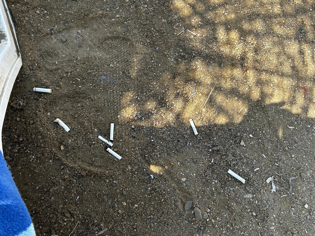 Urla Kum Plaji-Urla必去景点