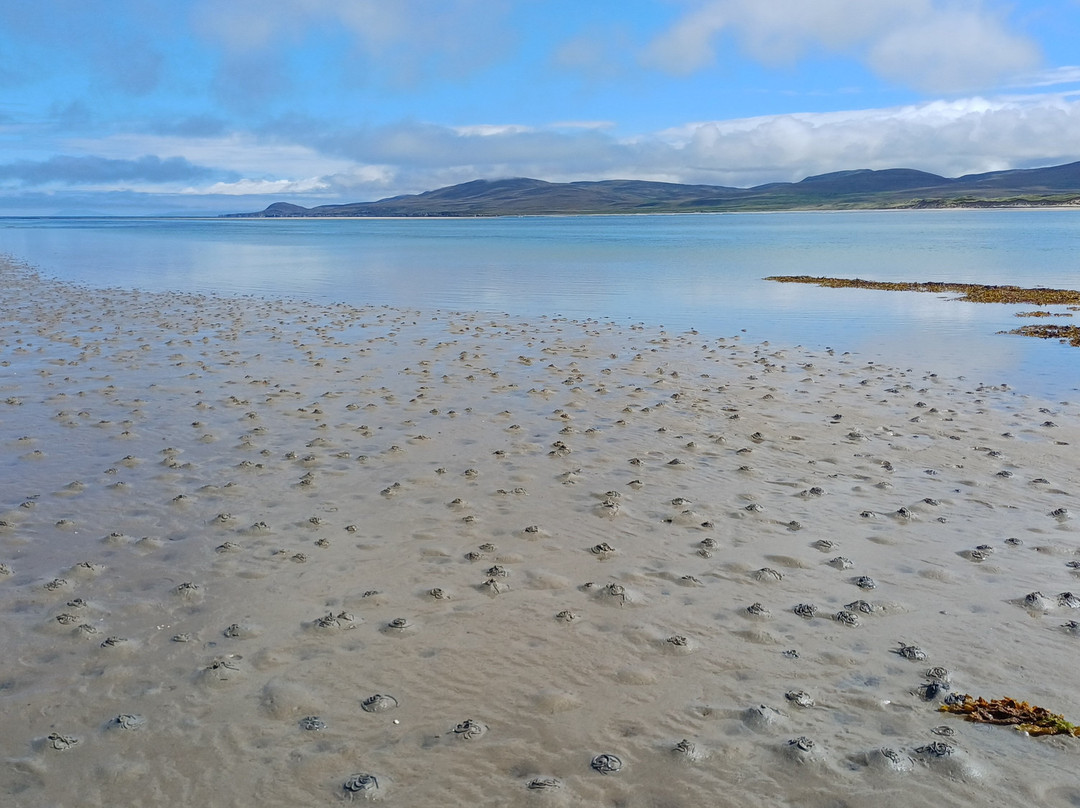 Hidden Hebrides - Island Walking Holidays & Walking Day Tours-Isle of Lewis必去景点