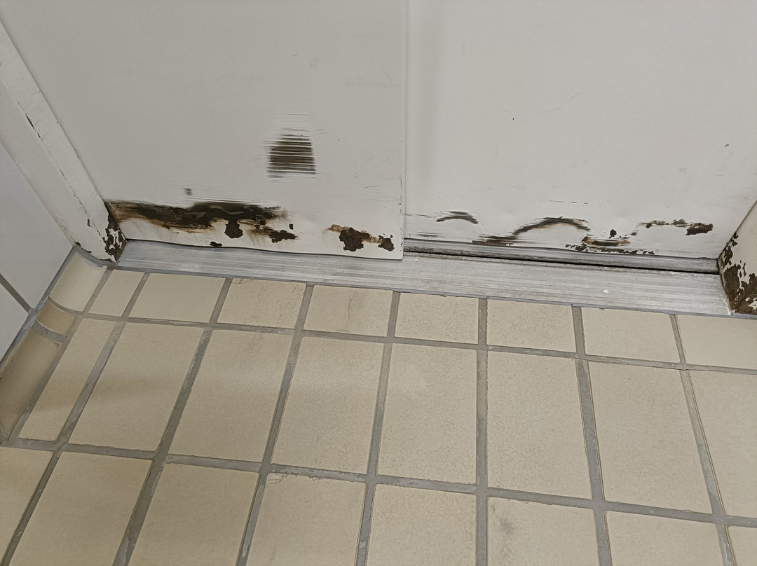 Badkap-阿尔布施塔特必去景点