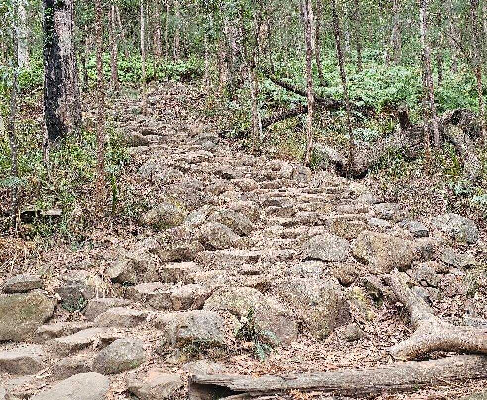 Mount Ngungun-Glass House Mountains必去景点