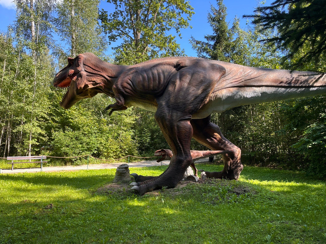 Rauboniai Park-Raubonys必去景点