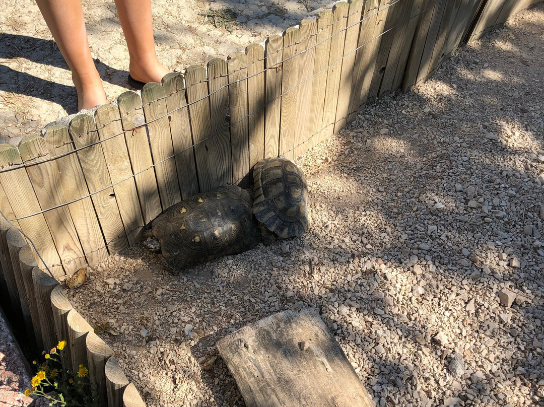 Therianos Family Farm-Kallithea必去景点