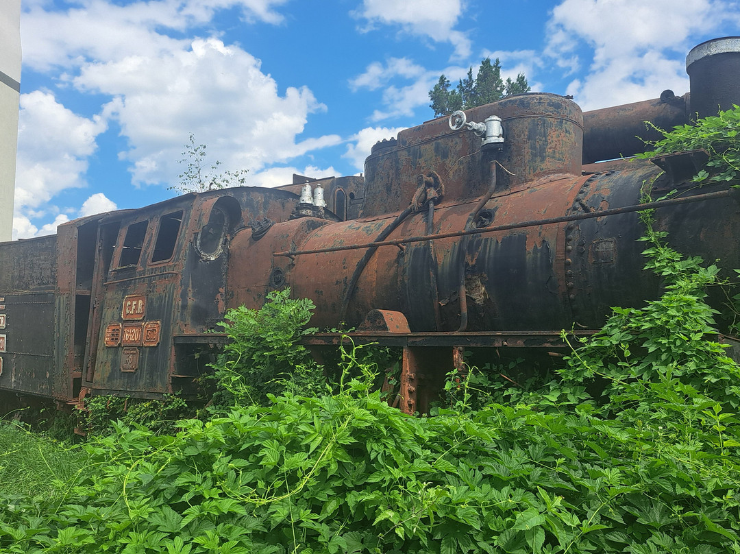 Museum of Steam Locomotives-锡比乌必去景点