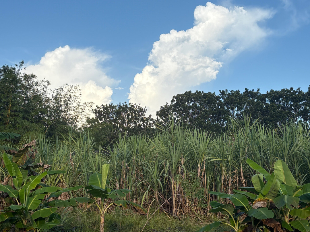 Pavones Surf Shop-帕沃尼斯必去景点