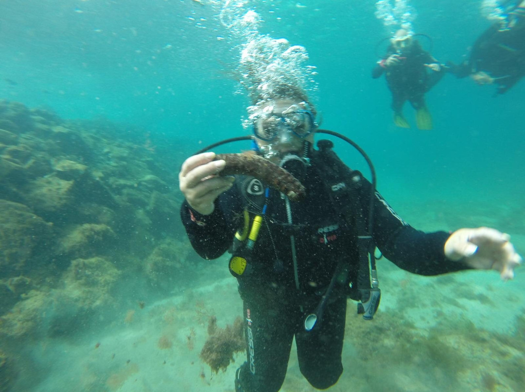 Dive Inn-Villaverde必去景点