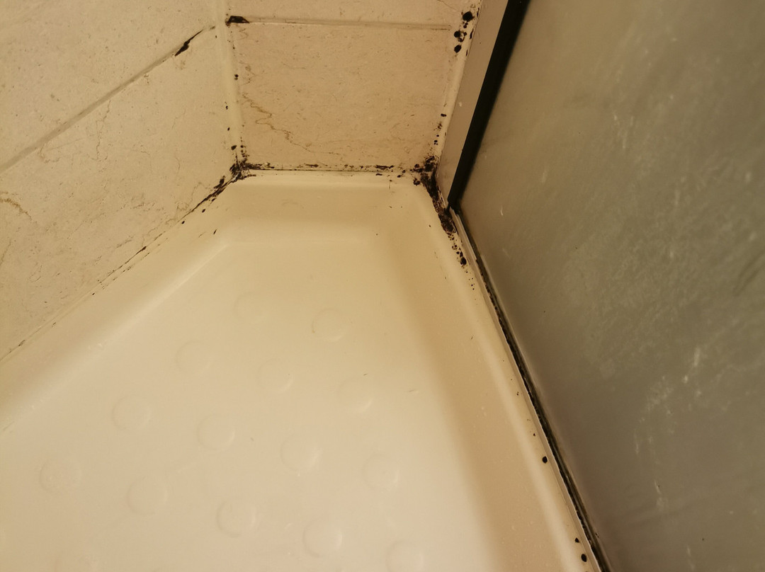 B&B HOTEL Brive-la-Gaillarde主图