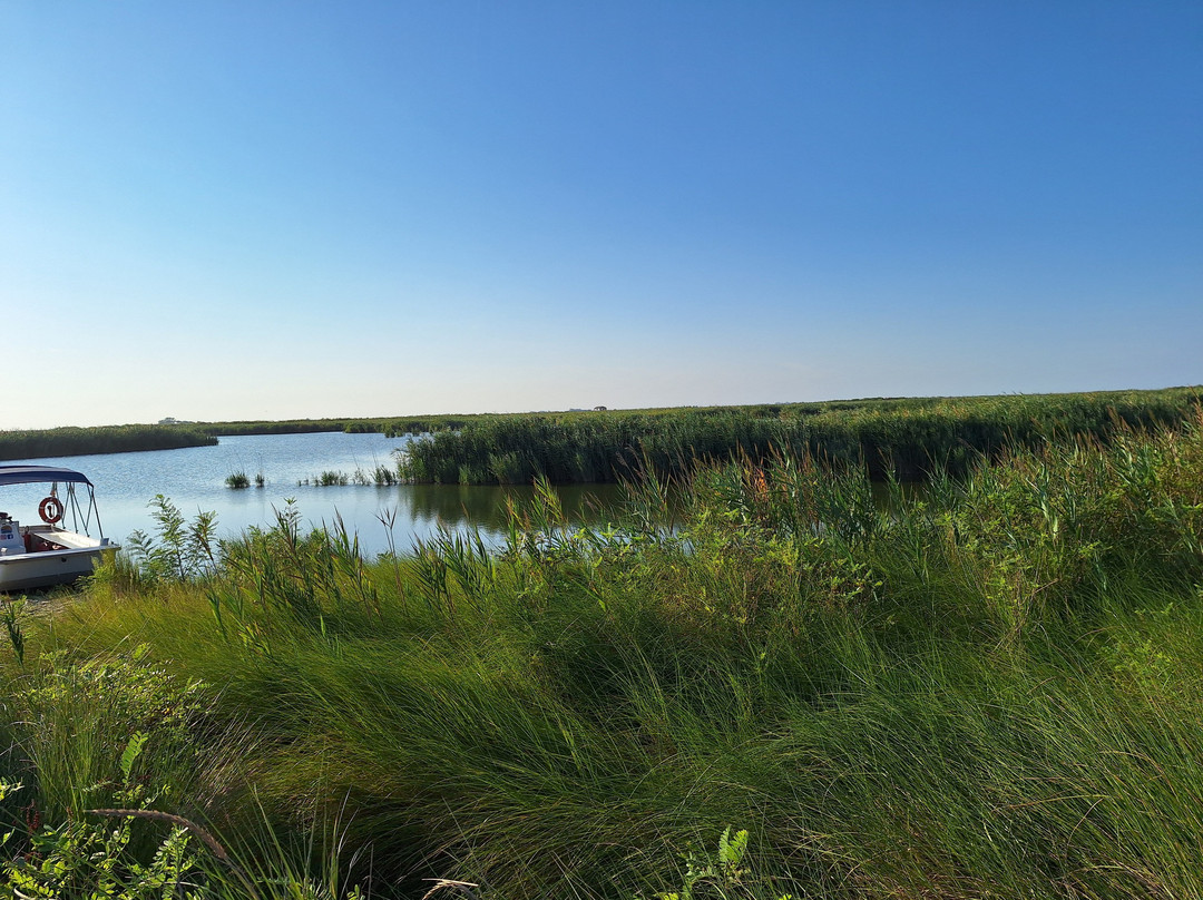 Boorstour Po Delta By Captain Fede