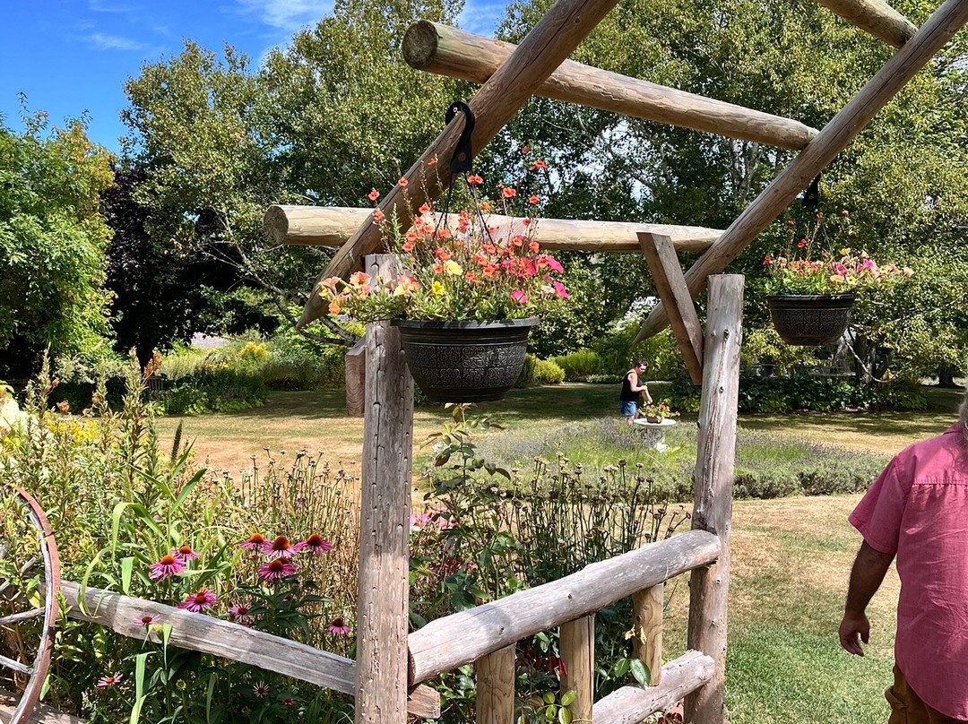 Island Lavender Distillery-Bonshaw必去景点