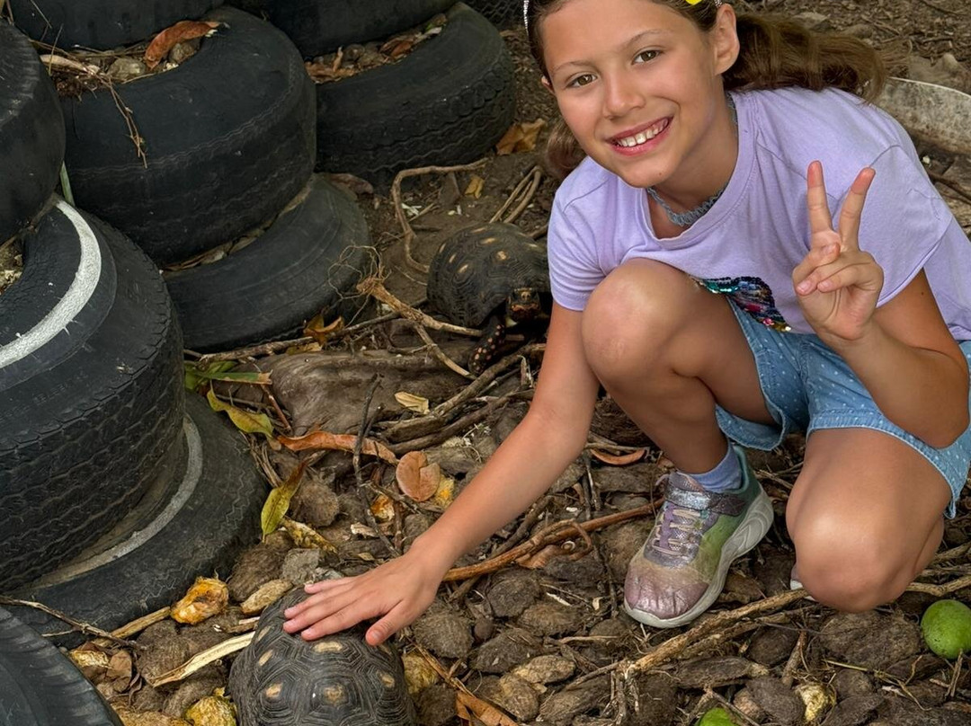 The Hillside: Eco Retreat-菲利普斯堡必去景点