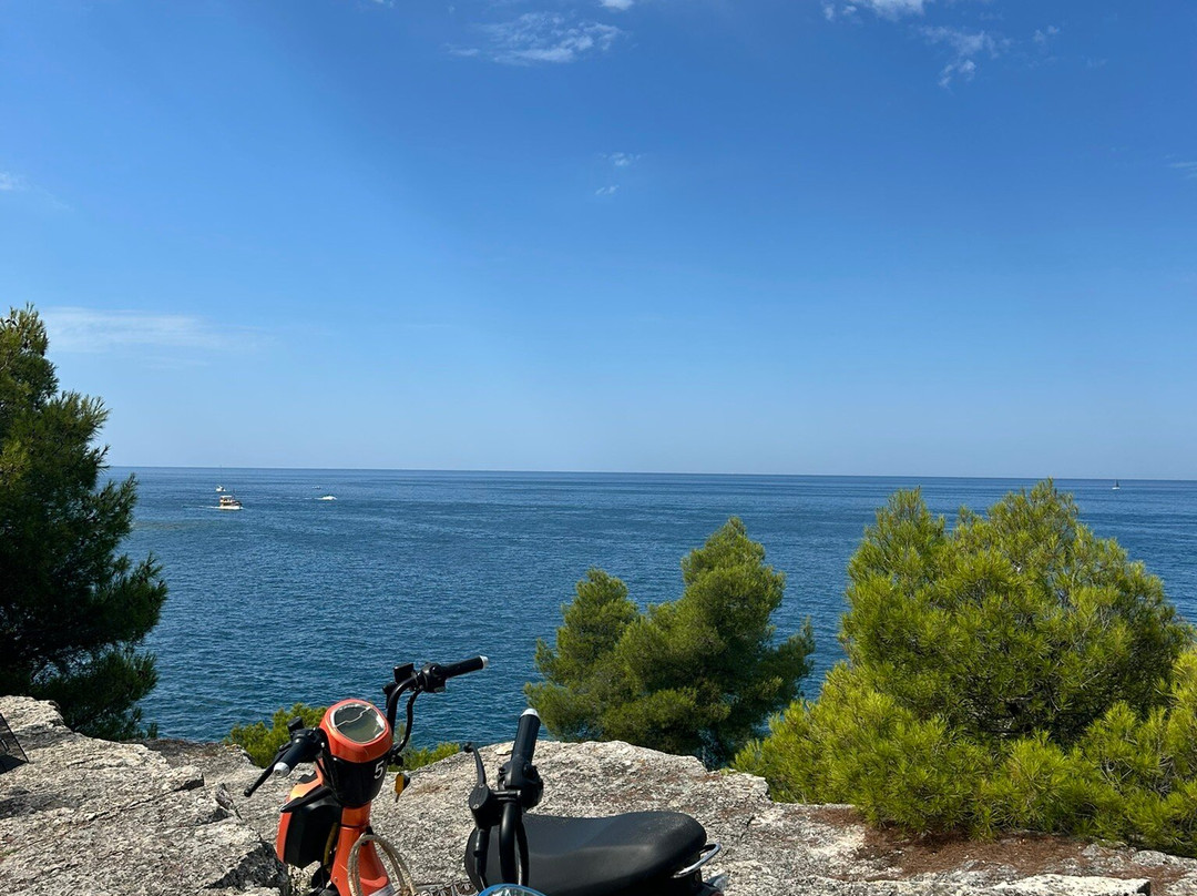 Punta Corrente-罗维尼必去景点