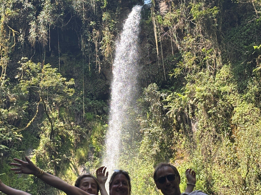 Wadudu Home & Adventure-莫西必去景点