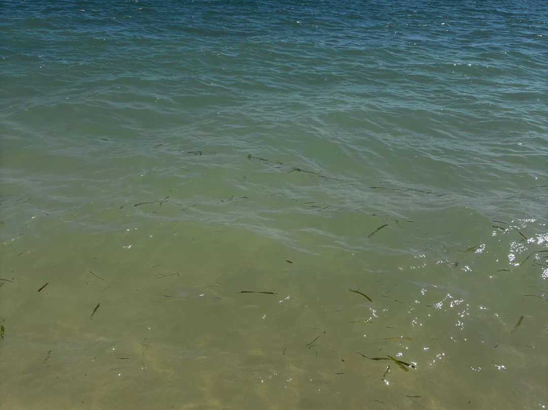 Ancon Beach-特立尼达必去景点