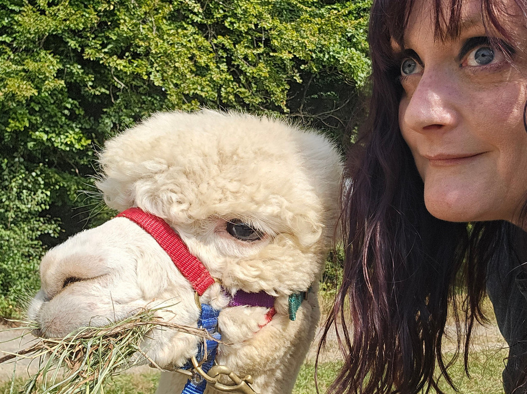 Alpakas Des Westens-Windeck必去景点