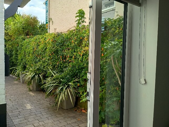 Grosvenor Lodge Guest House主图