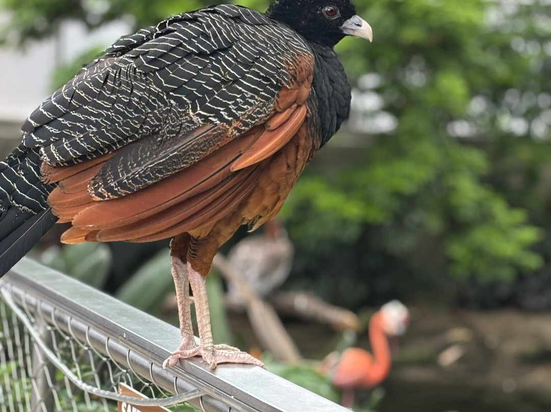国家鸟类公园-匹兹堡必去景点