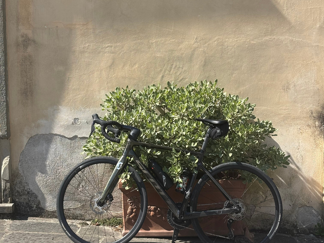 Tuscany Bicycle-加约莱因基安蒂必去景点