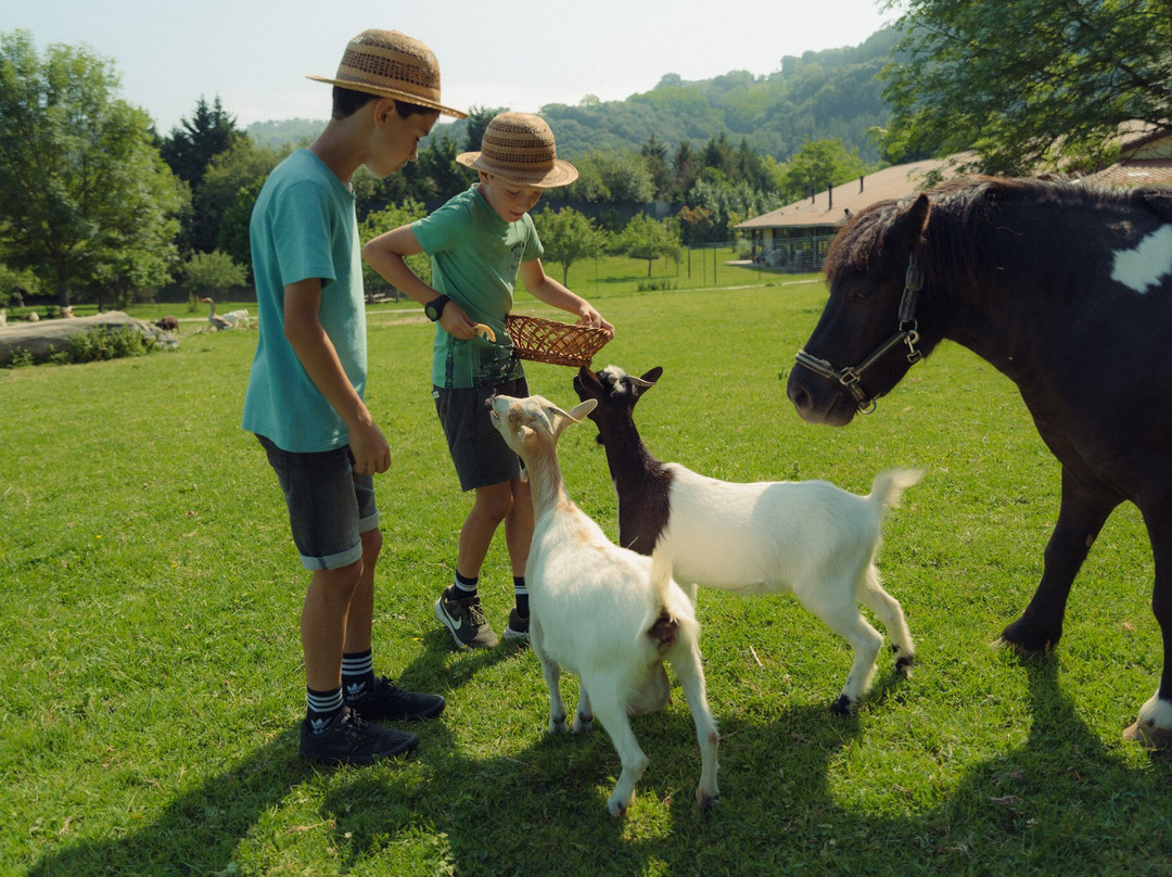 Casa Rural Jesuskoa Eventos主图
