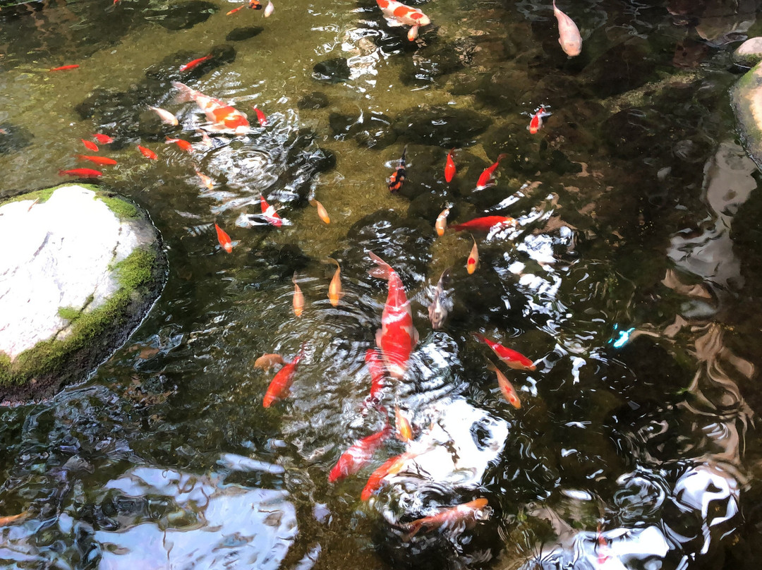 Aqua Mundo Center Parcs Park Allgäu-Leutkirch im Allgau必去景点