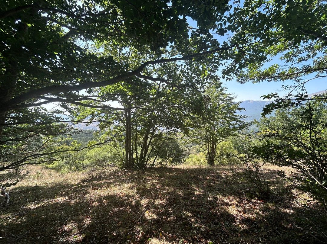 Hotel Pino Loricato主图